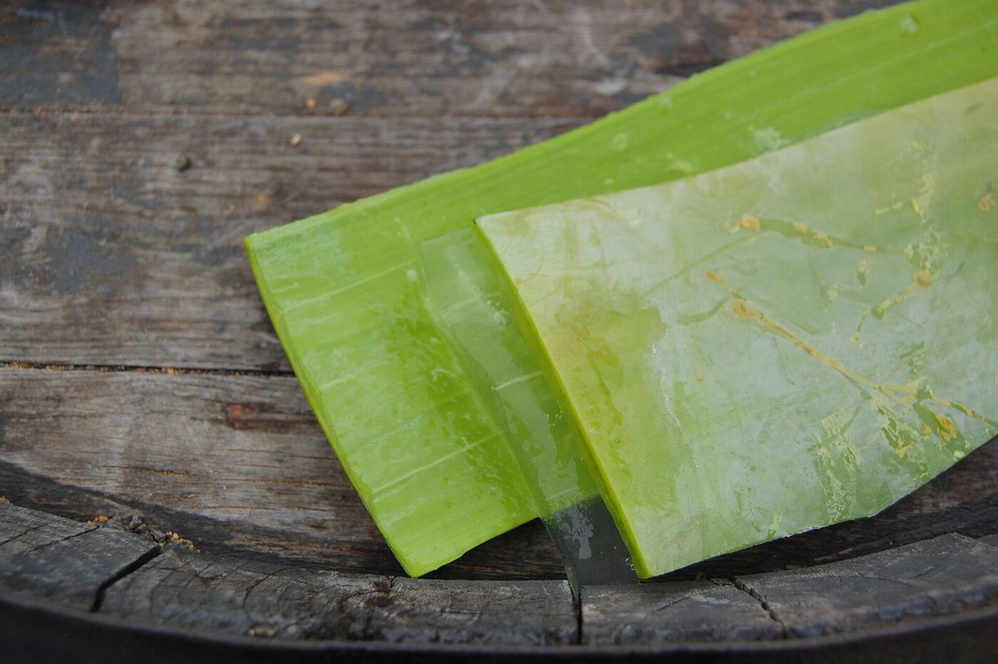 Aloe vera leaf sliced open to show the gel
