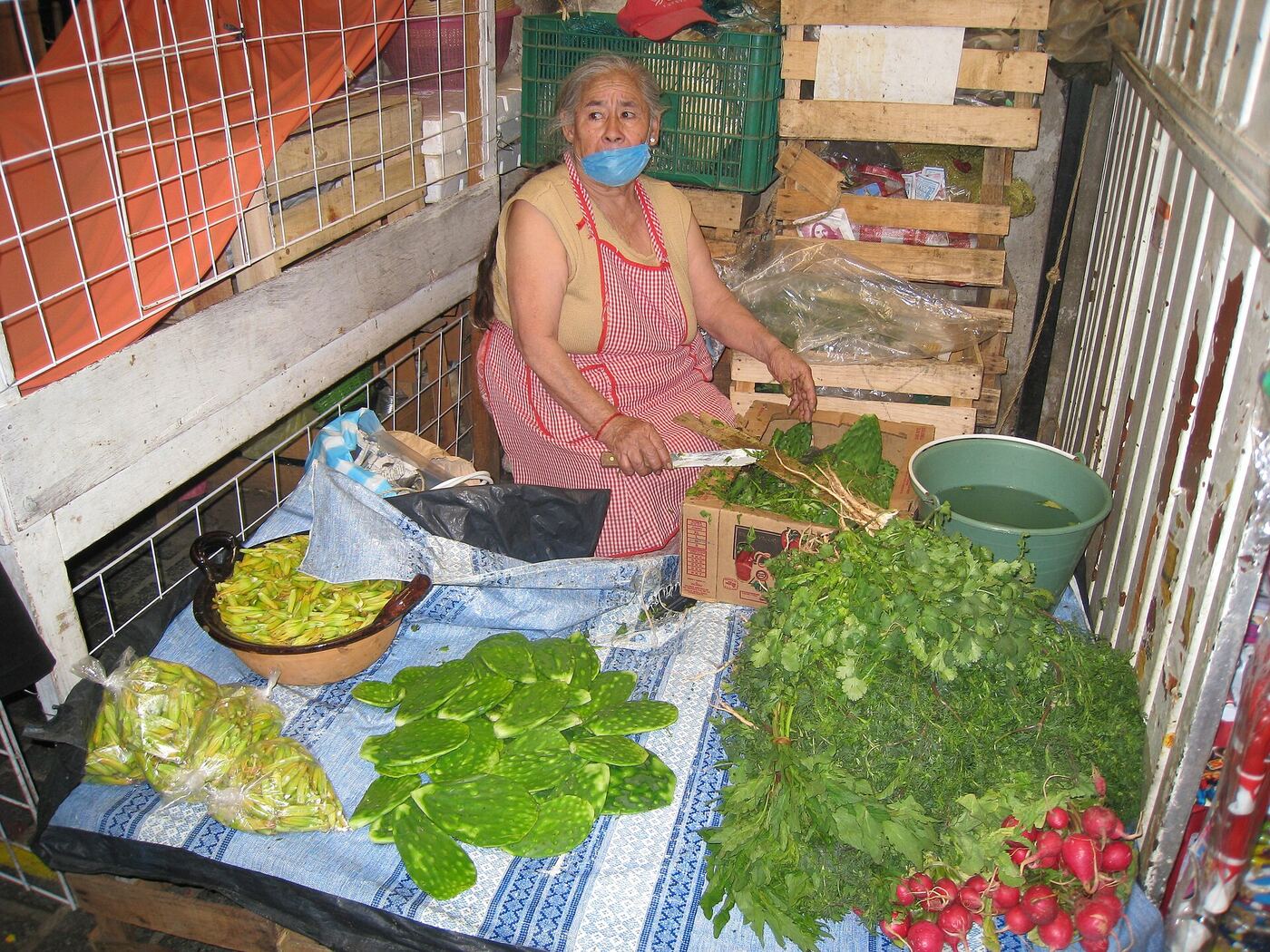 Woman preparing nopales (cactus pads) at a market